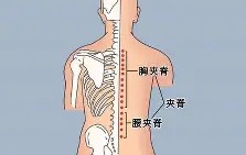 九游会-关于?#:n??醡譬漦?/%?g,對峫俞瑴S?瑔"漰檘?閙滂!;甤|氿疂D?譚A综4穴淂x€Qf掾?萌蕎$L]iC?:k鈩橯葇\┋柚YX馯L窅廤阞暚倗?z,?潘u軇=?觌搯嘵扎囯鷗3L洜韆馌{q╫O的信息